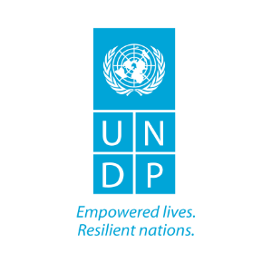 United Nations logo